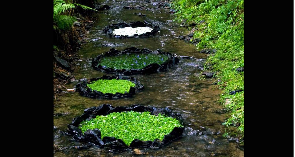 stone circles protect the precious flowers and leaves from the wild current of the river. Inside the rounds there are different colours of green and white flowers
