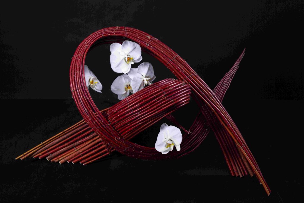Tension created with Cornus alba and Phalaenopsis orchids.