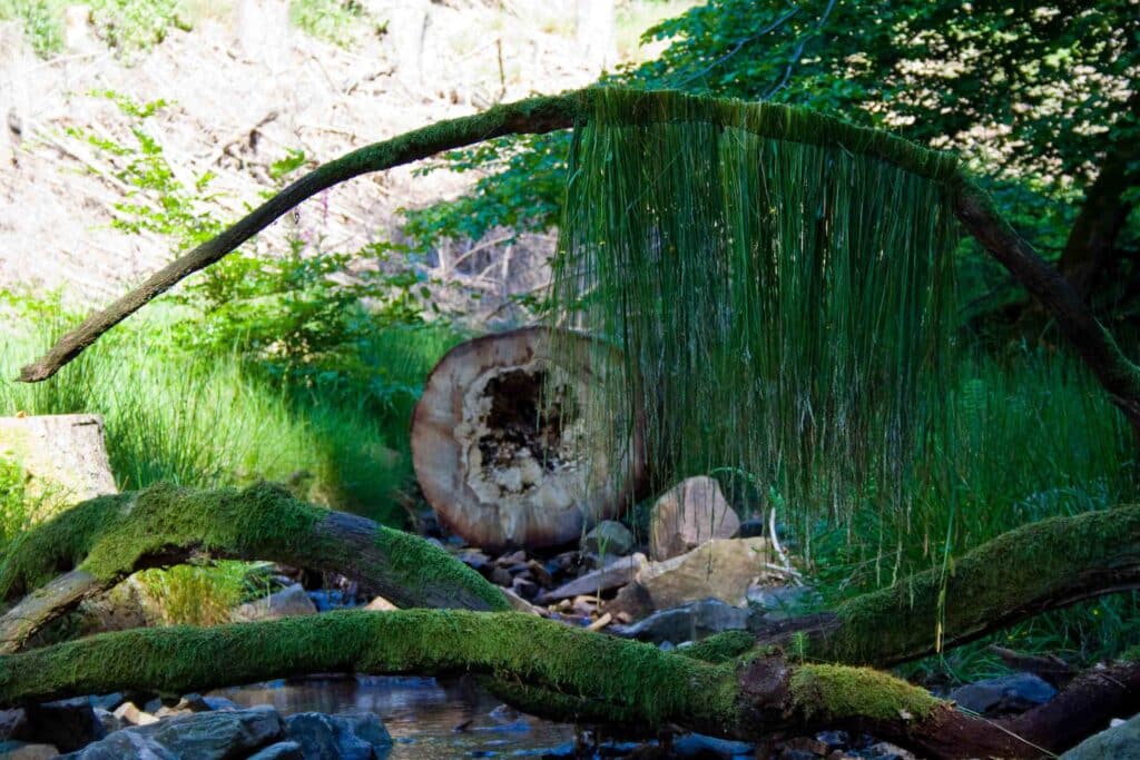 Large-scale botanical installation created with local materials