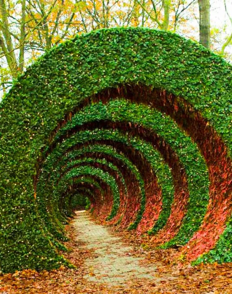 35 meter long and 7 meter high spiral movement made from Abies and red painted ferns. Walking through this construction gives a spectacular experienceI.